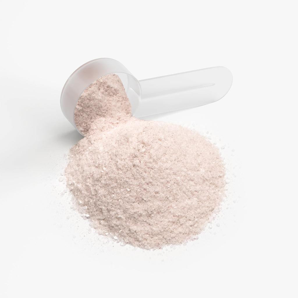 White scoop filled with powder on a white background
