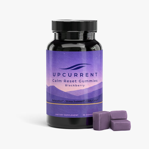Upcurrent Calm Reset Gummies bottle with purple packaging on a white background